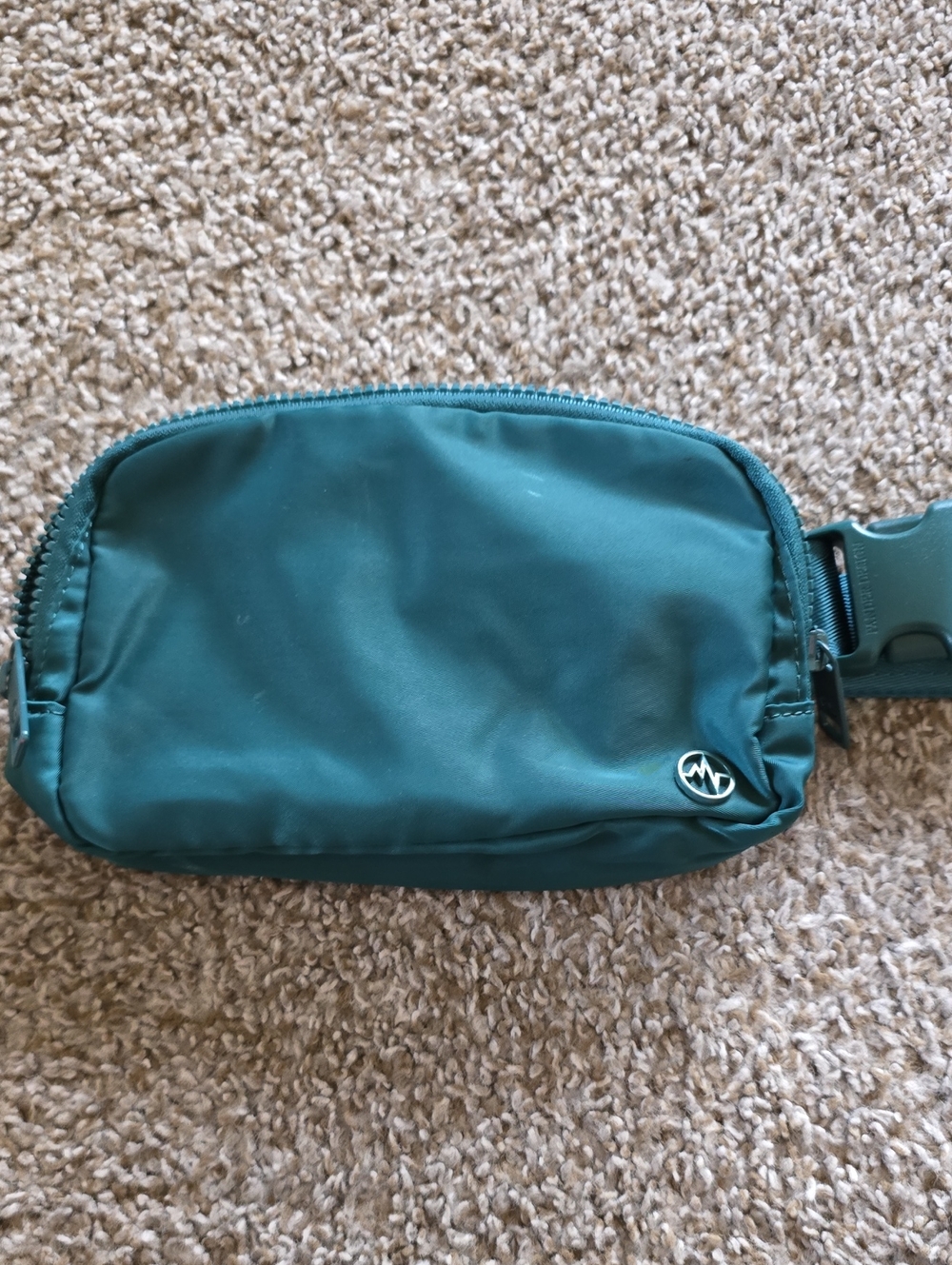Pander Teal Women Belt Bag